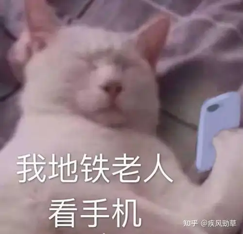 不会吧,不会吧还有人觉得卷腹,平板支撑是在练核心 不会吧,不会吧还有人觉得卷腹,平板支撑是在练核心