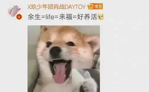  肖战,一个超爱在评论区回复表情包的顶流