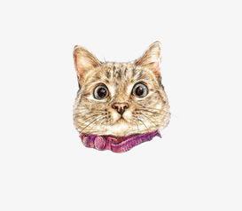 猫捏脸表情包手绘势力