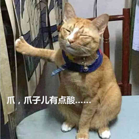 猫爪系列表情包橘猫
