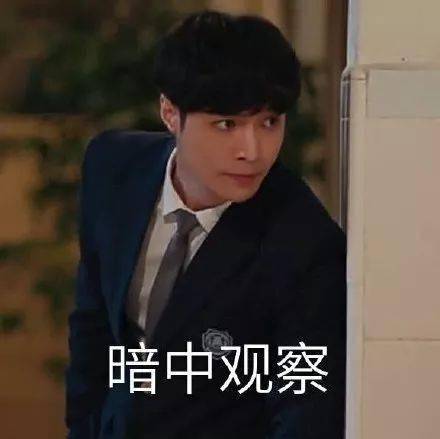 求婚表情包磕头