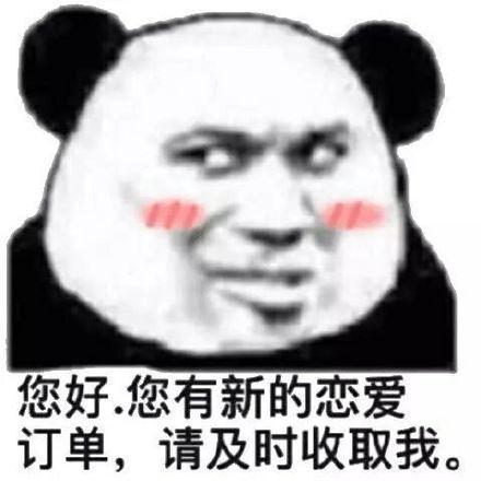  熊猫头撩人专用表情合集我怀疑你就是我女朋友,但是我没有证据