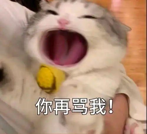  大嘴小猫咪表情包,很难不爱哦