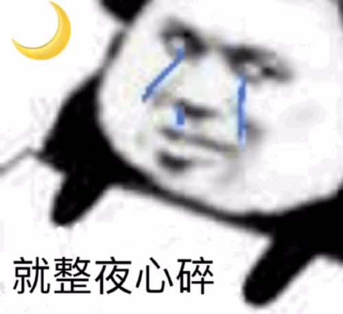 老实人表情包熊猫你在哪