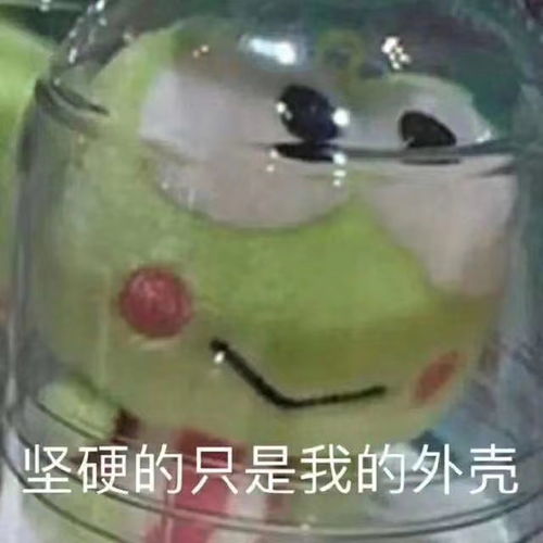 马宝国闪电五连鞭表情包