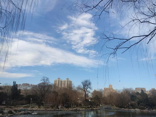  为什么你拍不好照片,那是因为你不会利用前景