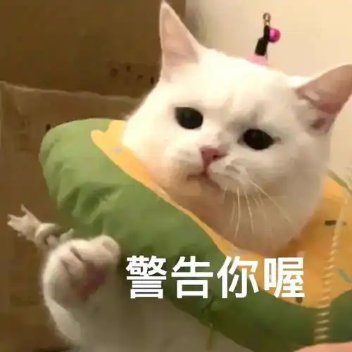 柴犬斜眼表情包七夕