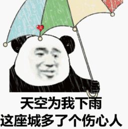  大暴雨11级大风已致28人死亡的利奇马真...
