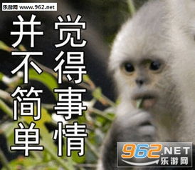  笑容逐渐凝固猴子图片我这一jio下去你可能会死猴子表情包下载乐游网游戏下载