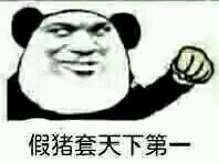  dnf假猪套天下第一是什么梗假猪套天下第一表情包