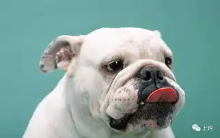  故事︱看看你中枪了没钓鱼人眼中的自己和旁人眼中的你