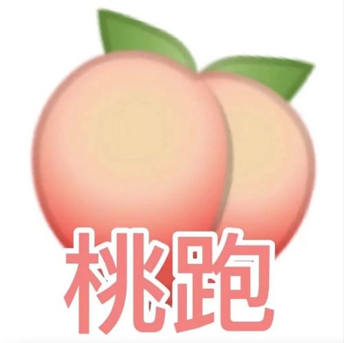  每个社恐心里都住着3个戏精,处处为你着想每天疯狂飙戏