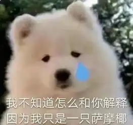 表情包原图有什么用蚊子