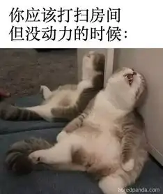  11个收拾房间的表情包,这不是乱这是有生活气息