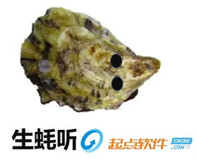  生蚝我们走表情包生蚝我们走表情包下载高清版