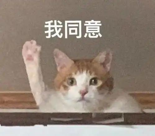  最后倒计时,明天你喜欢的c端趣味活动就正式上线啦