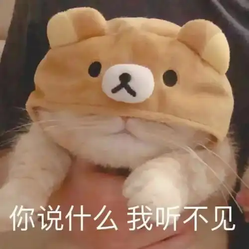 kino猫表情包好啦