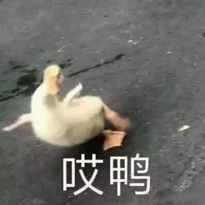  收集的一些老师吐槽语录