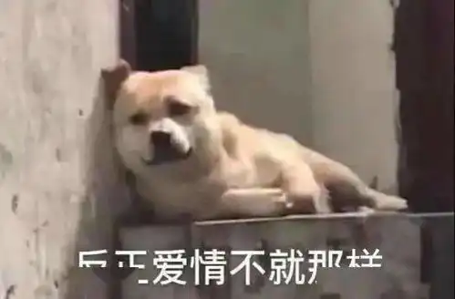  石泉新联会副会长方新春石泉助我腾飞,我要让星光耀石泉