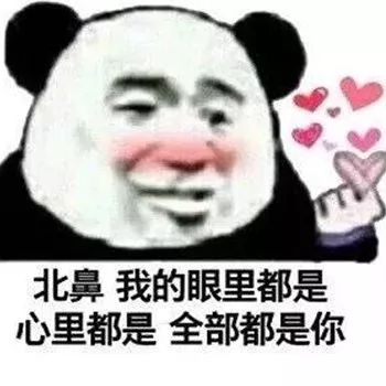  每日表情微信聊天斗图