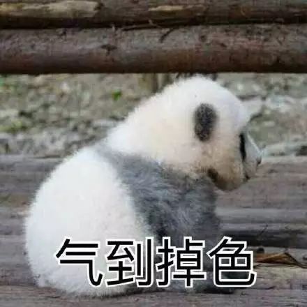  史上最辣鸡气垫top3,我就不信你没有买过