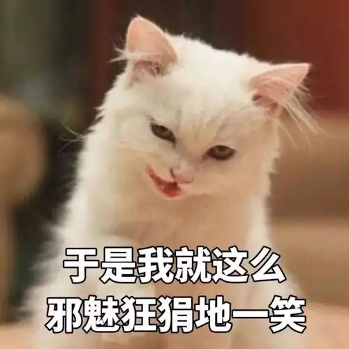  你们家猫走路声音重吗