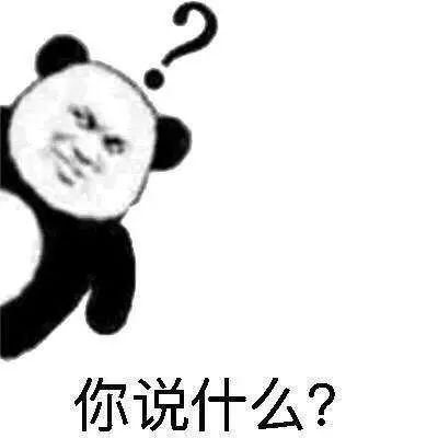  隔壁同事终于开口问了我到底什么是猪猪女孩