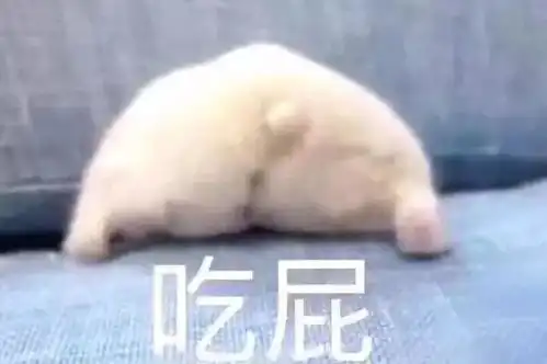 兔子吞脑袋表情包一套屋