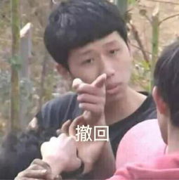  王境泽为什么又火了王境泽表情包原图
