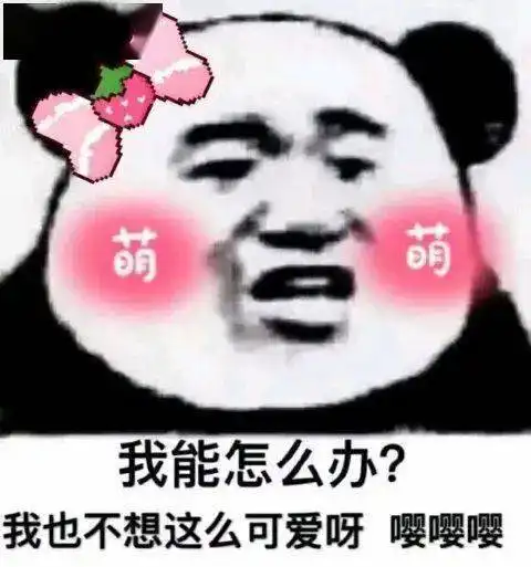  稷录趣事丨那些年笑死人不偿命的沙雕室友