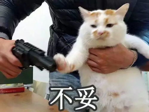  杂谈如何与上级愉快相处