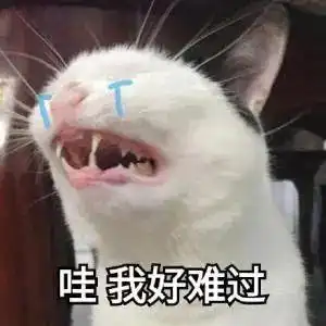  今天的天气预报,只有三句话