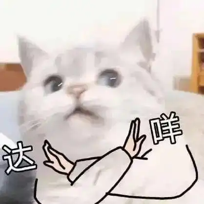 受到惊吓丨第960期喵表情包  受到惊吓丨第960期喵表情包