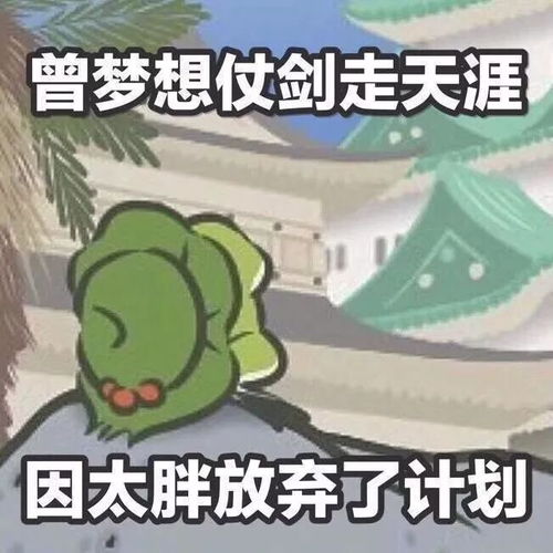  免费半价济南人的身份证又多一项福利,错过你就亏大了