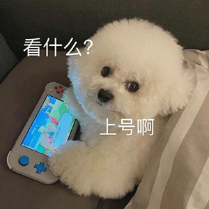  表情包大无语