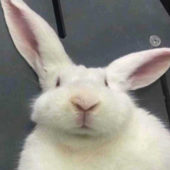  搞笑段子语句