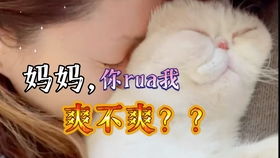  刚睡醒的小橘猫傻fufu的还爱舔手
