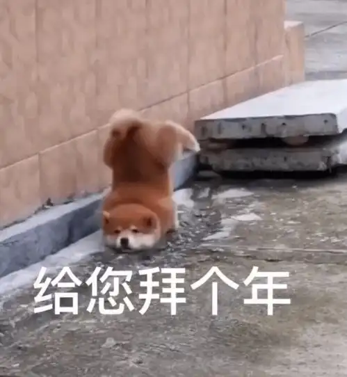  今日除夕,小医陪您一同守岁