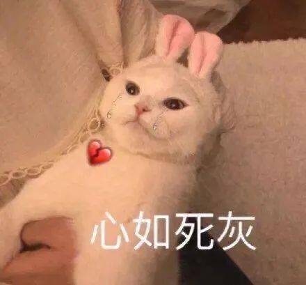  今日份表情包我爱你我超乖