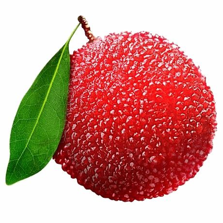  硳旧杨梅缙云大山中,属于夏日的甜蜜内有福利