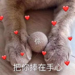  重返童年,大白兔奶糖的香水竟然藏在气味图书馆里
