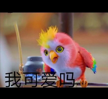  楚乔传宇文玥鹦鹉表情包