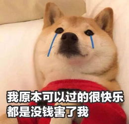  offer季选校指南第一弹我们在东北部的妖风中等你