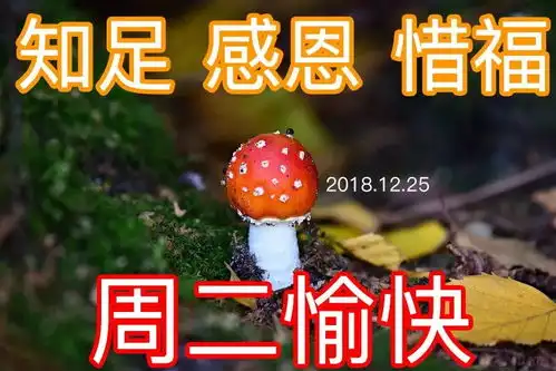  大家早安图片动画大家早上好动态表情图片合集