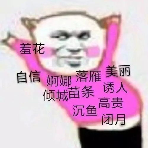 表情包