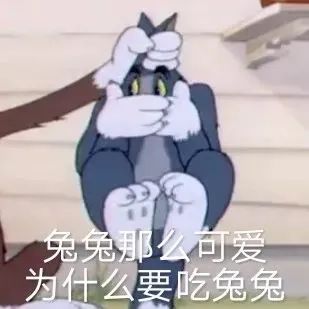  猫和老鼠搞笑表情包弱者才睡觉,你是弱者吗
