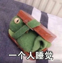  内涵皮编开皮卡做人就要对自己好一点