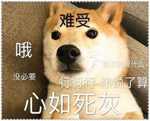  聊天表情包,对自己好点,能怪男朋友就别怪自己