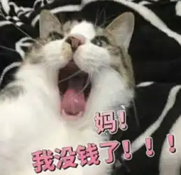  问爹妈要钱专用表情包留下没钱的泪水