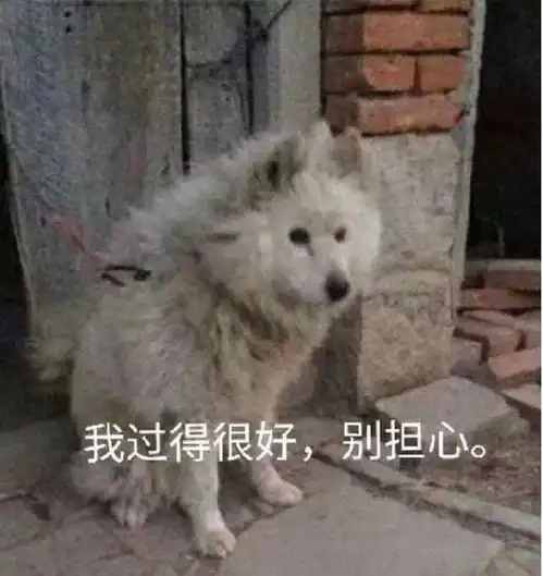  留学生年度账单正在生成....原来最大的一笔花销居然藏在这